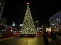 Sejarah Pohon Natal Masa ke Masa, Kenapa Identik dengan Pohon Cemara?