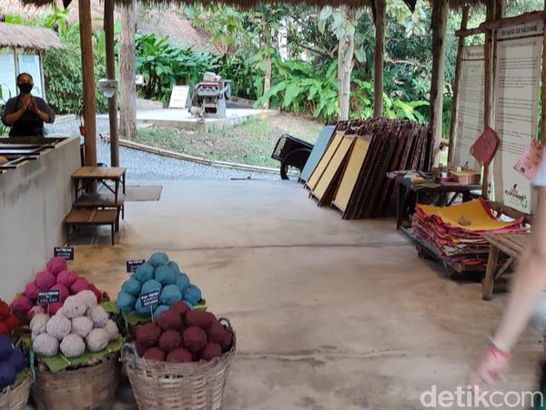Mungkin Satu-satunya di Dunia, Taman Tai Gajah
