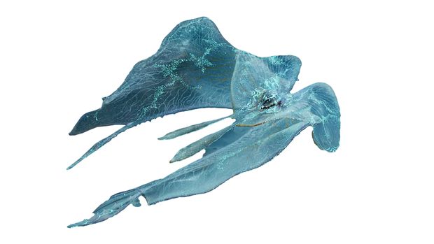 Gill Mantle Avatar: The Way of Water (2022) Gill Mantle atau Txampaysye, salah satu fauna yang muncul dalam Avatar: The Way of Water (2022).