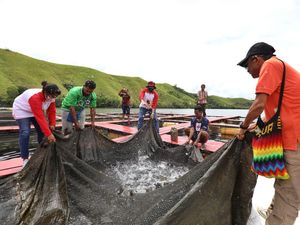 BIN Berdayakan Pemuda Papua Geluti Pertanian-Perikanan BIN Berdayakan Pemuda Papua Geluti Pertanian-Perikanan