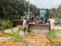 Pesangon Tak Dibayar, Eks Bos Pabrik Sawit di Riau Tanam Sawit di Jalan
