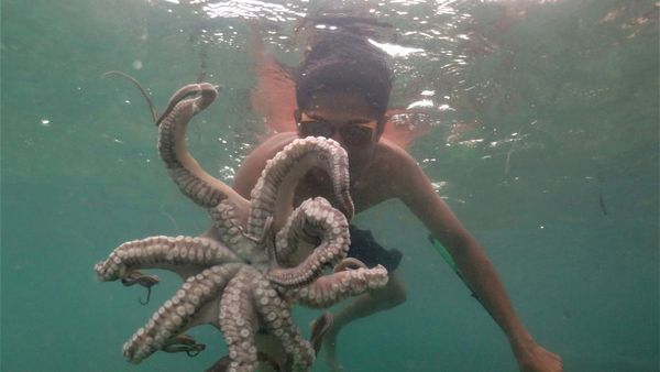 Potret Kehidupan Suku Bajo, Inspirasi Film Avatar 2: Way of Water