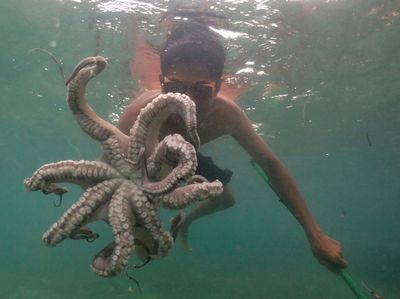 Potret Kehidupan Suku Bajo, Inspirasi Film Avatar 2: Way of Water
