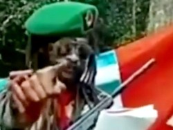 Klaim KKB Papua Sudah 4 Hari Duduki Maybrat Ternyata Cuma Kabar Hoax!