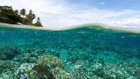 Destinasi Indonesia yang Vibesnya Mirip Film Avatar 2:The Way of Water
