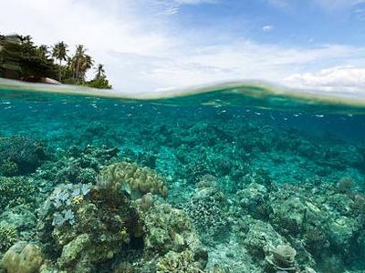 Destinasi Indonesia yang Vibesnya Mirip Film Avatar 2:The Way of Water