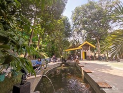 Ini Dia Kafe Hits di Kota Jambi, Sejuk di Tengah Hutan Kota