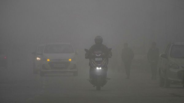 Potret India Diselimuti Kabut Tebal Musim Dingin, Pandangan Terganggu