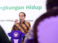 Rp 1.036 T Digelontorkan untuk Papua, Jokowi: Awasi Jangan Sampai Belok