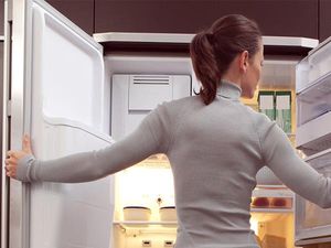 Kesal Makanannya Selalu Dicuri Suami, Wanita Hamil Ini Beli kulkas Sendiri