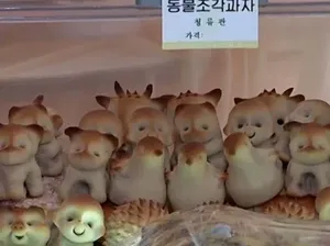Korea Utara Buat Pameran Makanan Bahan Tepung Terigu untuk Warganya Korea Utara Buat Pameran Makanan Bahan Tepung Terigu untuk Warganya