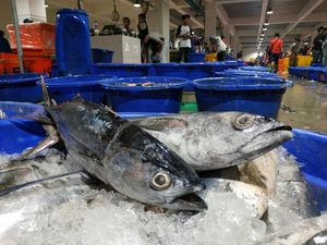 Potret Pasokan Ikan Segar Indonesia Jelang Akhir Tahun
