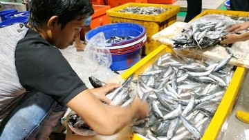 KKP Siapkan Sistem Ini buat Amankan Pasokan Ikan