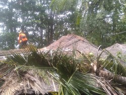 Angin Kencang, Rumah-Hotel di Karangasem Tertimpa Pohon Tumbang