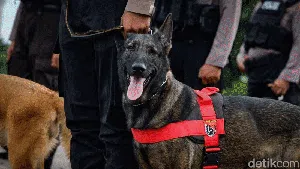 Polisi Berkuda-Anjing Pelacak Ikut Apel Operasi Lilin