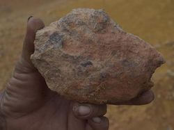 Ada Dugaan Ekspor Ilegal hingga Ditolak IMF, Hilirisasi Nikel Perlu Dibatalkan?