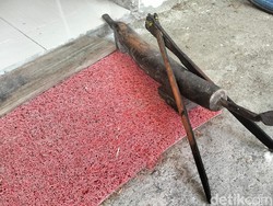 Cara Unik Suku Mandar Redam Angin Kencang: Pakai Parut Kelapa