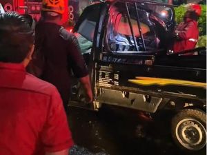 Mobil Pikap Tertimpa Pohon Tumbang di Denpasar, Pria Asal Sragen Tewas Mobil Pikap Tertimpa Pohon Tumbang di Denpasar, Pria Asal Sragen Tewas