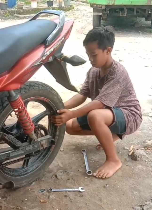 aril