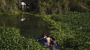 Perjuangan Migran Venezuela Sebrangi Rawa Demi Sampai AS