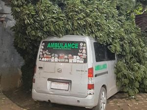 Diterjang Angin Kencang, Pohon Durian Tumbang Timpa Ambulans di Bogor