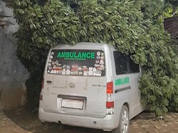 Diterjang Angin Kencang, Pohon Durian Tumbang Timpa Ambulans di Bogor