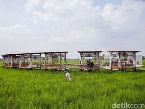 Terpukau Sawah Hijau Layaknya Ubud padahal di Tangerang Terpukau Sawah Hijau Layaknya Ubud padahal di Tangerang
