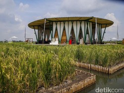 Ironi Sawah Ditinggalkan Anak Muda, Muncullah Ubudnya Tangerang Guler Farm
