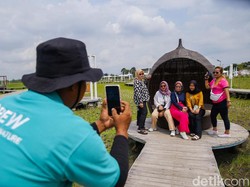 6 Tips Menikmati Sawah Hijau nan Estetik di Tangerang