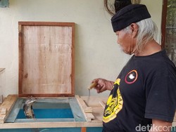Pawang Senior Ki Kebo Ingatkan Ular Tak Bisa Kenali Majikan