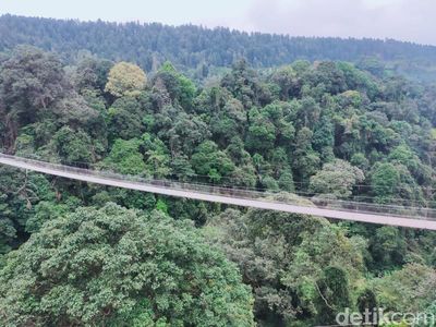 Potret Jembatan Terpanjang Se-Asia di Sukabumi