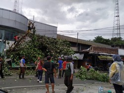 Angin Kencang Landa Semarang Hari Ini, Belasan Pohon Tumbang