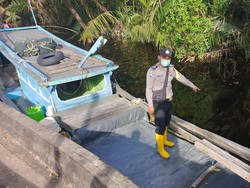 Pencarian Pekerja Hilang Diterkam Buaya di Dumai Dihentikan