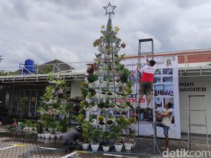 Gereja di Sidoarjo Hadirkan 2 Pohon Natal Unik, dari Tanaman Hias dan Snack