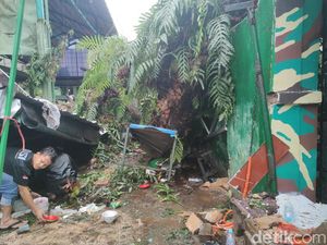 Penampakan Pohon Tumbang Timpa 5 Warga di Makassar
