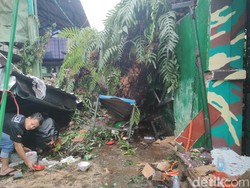 Penampakan Pohon Tumbang Timpa 5 Warga di Makassar