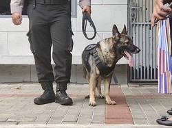 Tim Gegana-Anjing K9 Periksa Gereja Katedral Jakarta Jelang Misa Natal