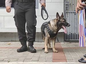Tim Gegana-Anjing K9 Periksa Gereja Katedral Jakarta Jelang Misa Natal Tim Gegana-Anjing K9 Periksa Gereja Katedral Jakarta Jelang Misa Natal