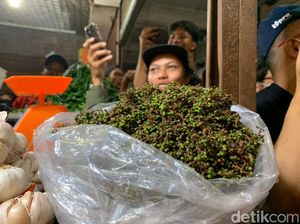 Menko Airlangga Terkejut Harga Andaliman Rp 200 Ribu, Lebih Mahal dari Cabai Menko Airlangga Terkejut Harga Andaliman Rp 200 Ribu, Lebih Mahal dari Cabai