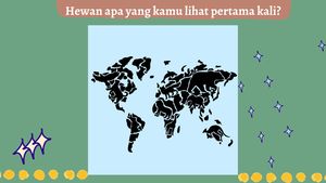 Tes Kepribadian, Gambar Hewan yang Dilihat Pertama Kali Bisa Ungkap Karakter Kamu