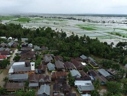 1.924 Hektare Sawah di Soppeng Terendam Banjir, Petani Terancam Gagal Panen