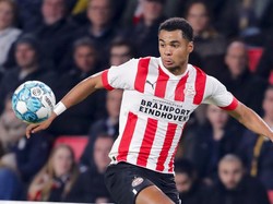 Tikung MU, Liverpool Selangkah Lagi Gaet Cody Gakpo