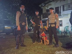 Mengenal Elsa, Anjing Pemberi Rasa Aman Saat Natal di Cianjur