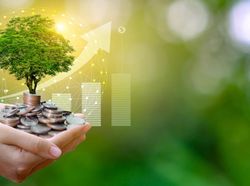 Ini Dia Untungnya Jika RI Transisi ke Ekonomi Hijau