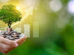 Green Economy Tumbuh Bersama BSI