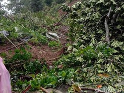 Longsor Jalan Poros Malino Terjang Permukiman, Satu Orang Hilang