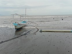 Waspada, Jangan Snorkeling dan Nonton Lumba-lumba Dulu di Lovina