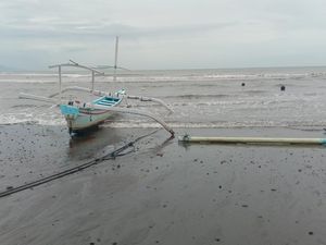 Waspada, Jangan Snorkeling dan Nonton Lumba-lumba Dulu di Lovina Waspada, Jangan Snorkeling dan Nonton Lumba-lumba Dulu di Lovina