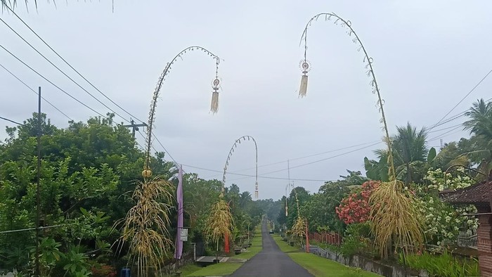 Penjor-penjor yang berjejer di depan rumah warga Desa Blimbingsari, Kecamatan Melaya, Kabupaten Jembrana, Bali, Sabtu (24/12/2022). (I Putu Adi Budiastrawan/DetikBali).