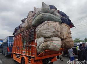 Apa Itu Truk ODOL? Ini Aturan, Dampak hingga Sanksi Apa Itu Truk ODOL? Ini Aturan, Dampak hingga Sanksi